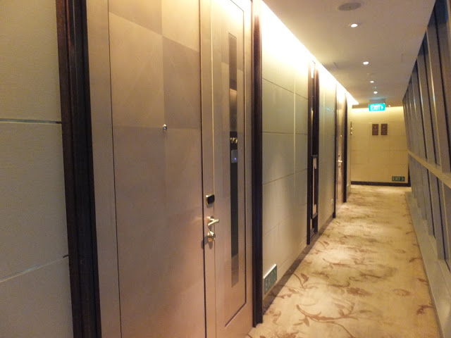 DAYORIS Doors Custom Fire Doors