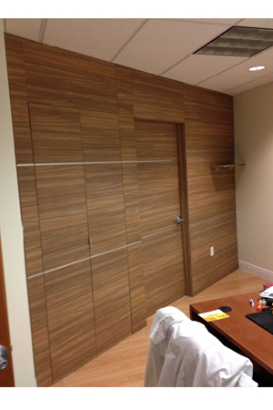 Dayoris Doors Abbo Dentistry Designer Wall Panels Interior