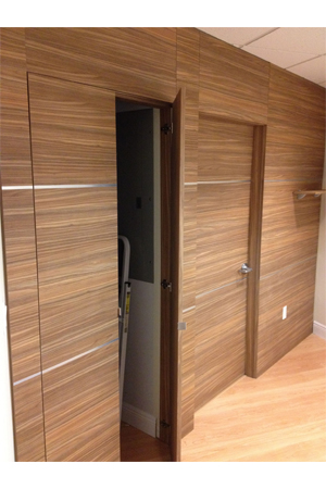 Dayoris Doors Abbo Dentistry Designer Wall Panels Interior